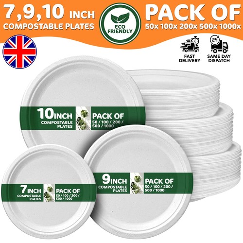 Biodegradable paper bagasse - biodegradable,
